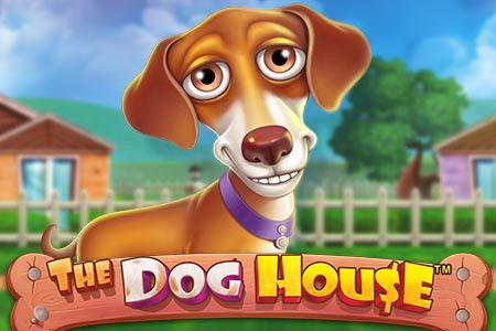The Dog House The Dog House