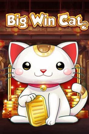 Big Win Cat